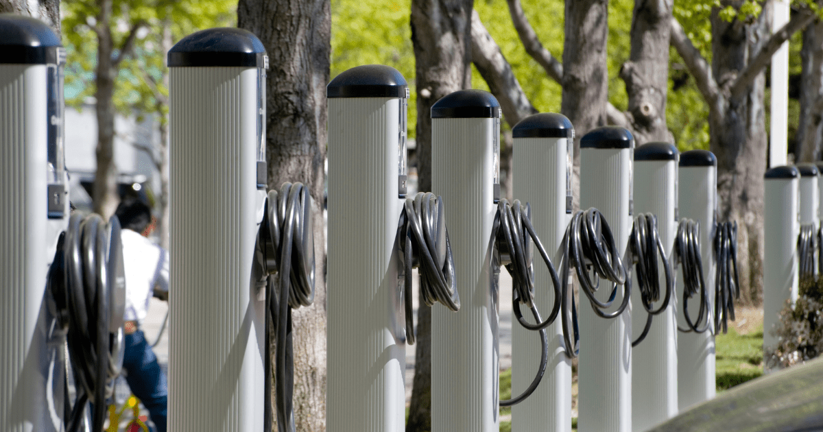 REACH Blog Header (17)